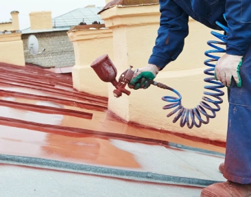 Roof Painting
